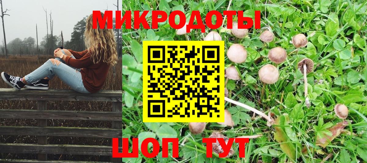 Псилоцибиновые грибы MAGIC MUSHROOMS  Галлюциногенные грибы мухоморы  Топки  цена наркотик  Вход с VPN 